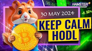 Hodling for Beginners: A Step-by-Step Guide to Profits  Hamster Academy