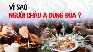 VÌ SAO NGƯỜI CHÂU Á DÙNG ĐŨA CHỨ KHÔNG PHẢI THÌA, NĨA?