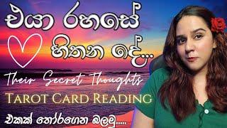 එයා රහසේ හිතන දේ දැනගමු! Their Hidden Thoughts Tarot card Reading Sinhala | Love Predictions