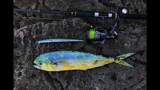 Montenegro Spinning - Mahi-Mahi (Dorado)