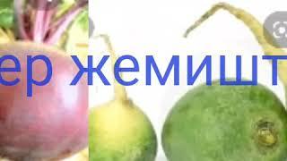 Кыргызстанда өсүүчү жер жемиштер