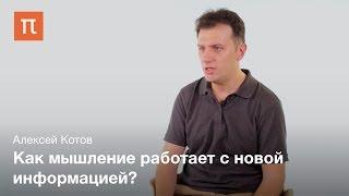 Теория множественных систем категоризации Алексей Котов