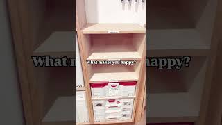 Systainer storage with labels #cabinetmaker #woodworking #cabinetshop #woodshop #woodshoplife