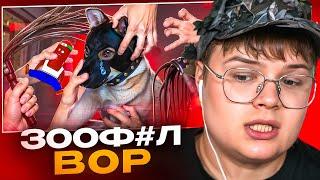 КАША СМОТРИТ - ЗООФИЛЬСКИЙ ВОР В ЗАКОНЕ - СУВОРОВ И КРАЖА СОБАКИ АРКАДИЯ 