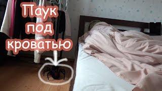 VLOG Пранк над Настей и над Надей