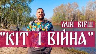 Мій вірш "Кіт і війна"