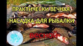 Практически вечная насадка для рыбалки весной