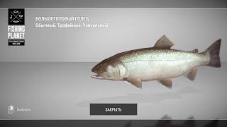 Fishing Planet Большеголовый Голец...на случай если кто ищет где...