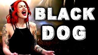 Led Zeppelin - Black Dog - cover - Kati Cher - Ken Tamplin Vocal Academy