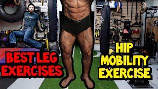 Hip Mobility Exercises for HIP PAIN RELIEF: No Equipment Hip Mobility Drill