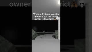 When a fly fries to enter a house but the house owner is strict🪰