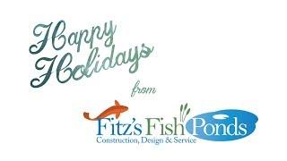 Merry Fitzmas from Koi Fish Expert Brian Fitzsimmons