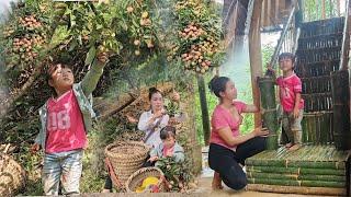 build and complete the entire bamboo staircase and go pick lychees to sell