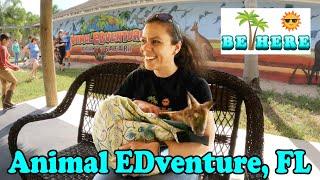 BE HERE: Visiting Animal EDventure and Their Amazingly Cute Animals