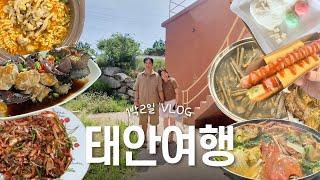 태안 여행 1박2일 여행코스 VLOGㅣ태안맛집ㅣ태안카페ㅣ갯벌체험ㅣ게국지ㅣ맛조개ㅣ사진스팟