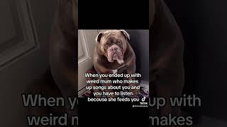 #grumpydog #oeb #werid #funny #dog #song #viralvideo #follow