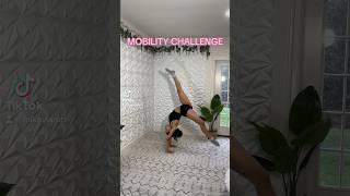 FLEXIBILITY + CALISTHENICS CHALLENGE