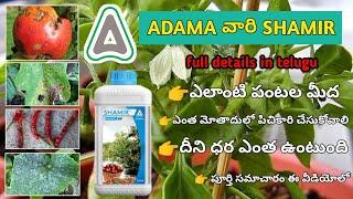 Shamir | Adama India Shamir Fungicide | Tebuconazole 8% + Captan 32% sc | adama shamir