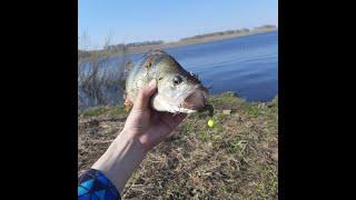 Рыбалка в Береговом. В поисках судака)))