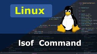 Linux Command - lsof