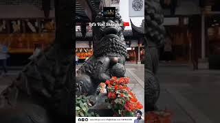  Discover the Magic of Shanghai with #13TripsIndia! 