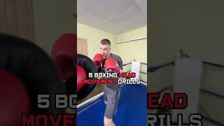 Basic Boxing Head Movement Partner Drills