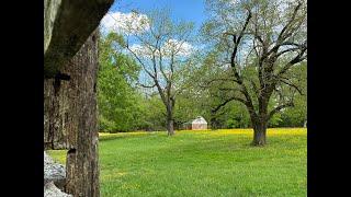 “Long and Assiduous Endeavors”: The Archaeological Exploration of John Custis’ Williamsburg Garden