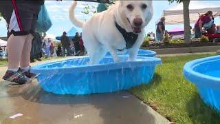 Richmond Animal League's Woofstock returns to Westchester Commons
