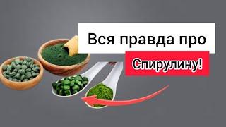 Польза и вред спирулины