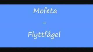 Mofeta - Flyttfågel