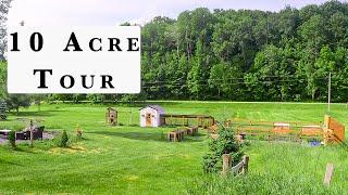 From City Life to Self-Sufficiency: A Homestead Tour