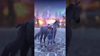 He's going crazy... #horses #starstable