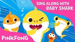 S-H-A-R-K | Sing along with baby shark | Pinkfong Songs for Children