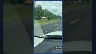 Kangaroo hopping on I-85 near Auburn, Alabama