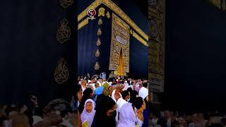 Most Beautiful Masjid Al Haram Live  ️ Sajid Raza । #shorts #sajid_raza #trending #youtubeshorts