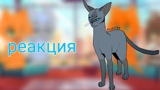 реакция Котов -воителей на тт