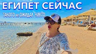 Египет 2024. ЧЕТВЕРКА КРУЧЕ ПЯТЕРОК️Какие НЮАНСЫ МОРЕПРОДУКТЫ. Tamra Beach Resort 4*. Шарм Эль Шейх