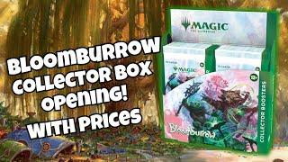 MTG Bloomburrow Collector Booster Box Opening!