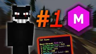 #1 TNT Sumo - Releasing 𝐏𝐫𝐢𝐯𝐚𝐭𝐞 𝐂𝐡𝐞𝐚𝐭𝐬 & Destroying Leaderboard