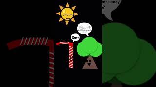 Mr candy cane meets Mr tree
