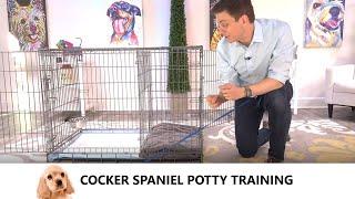 Cocker Spaniel Potty Training from World-Famous Dog Trainer Zak George -  Train Cocker Spaniel Puppy