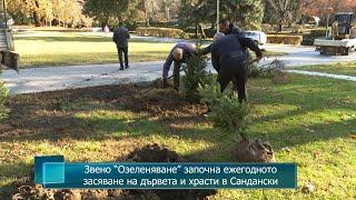 Звено “Озеленяване” започна ежегодното засяване на дървета и храсти в Сандански