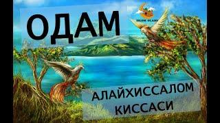 Одам алайхиссалом киссаси. Odam alayhissalom qissasi.