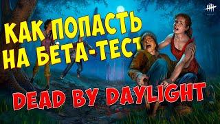 Как зайти на ПТБ в Dead by Daylight   Тестовый сервер ДБД ▶ Инструкция