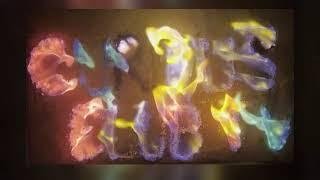 Curious Club TV | The World Glows Brighter When You Wonder