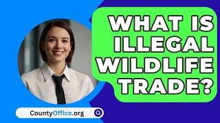 What Is Illegal Wildlife Trade? - CountyOffice.org