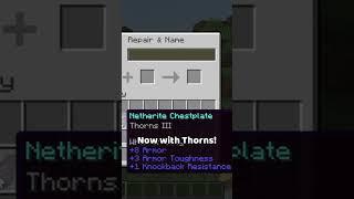 Perfect chestplate enchantments in Minecraft  #shorts