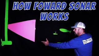 How to read Forward looking Sonar like a Pro!!!!!!