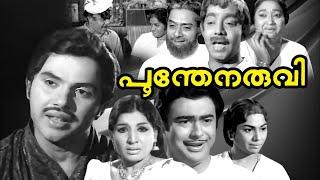 Poomthenaruvi Malayalam Full Movie | Prem Nazir | Jayabharathi | Jayan | Nanditha Bose