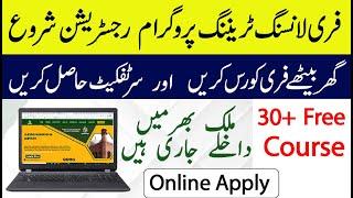 Pakistan Freelancing Training Program 2024 Apply Online | 30+ Free Course